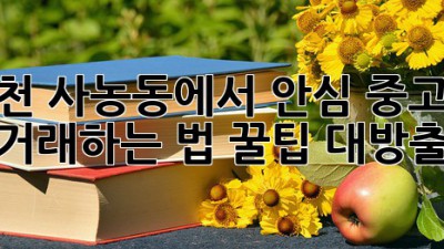 🚗 춘천 사농동에서 안심 중고차 거래하는 법! 꿀팁 대방출 🍯