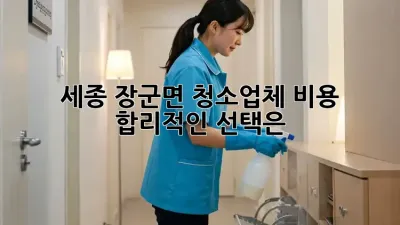 세종 장군면 청소업체 비용, 합리적인 선택은? 🏡✨